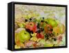 Apples and Blackberries on Autumn Leaves-Joan Thewsey-Framed Stretched Canvas