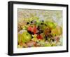 Apples and Blackberries on Autumn Leaves-Joan Thewsey-Framed Giclee Print