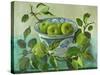 Apples and blue Bowl-Cristiana Angelini-Stretched Canvas