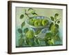 Apples and blue Bowl-Cristiana Angelini-Framed Giclee Print