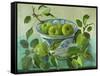 Apples and blue Bowl-Cristiana Angelini-Framed Stretched Canvas