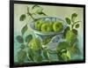 Apples and blue Bowl-Cristiana Angelini-Framed Giclee Print