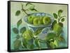 Apples and blue Bowl-Cristiana Angelini-Framed Stretched Canvas