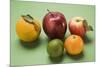 Apples and Citrus Fruit-Foodcollection-Mounted Photographic Print