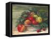 Apples and Holly-Carol Rowan-Framed Stretched Canvas