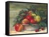 Apples and Holly-Carol Rowan-Framed Stretched Canvas