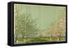 Apples and Honey from Canadian Orchards-Charles Pears-Framed Stretched Canvas