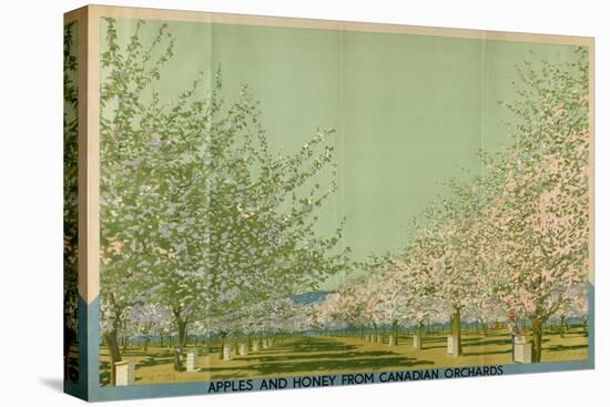 Apples and Honey from Canadian Orchards-Charles Pears-Stretched Canvas