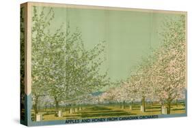 Apples and Honey from Canadian Orchards-Charles Pears-Stretched Canvas