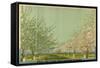 Apples and Honey from Canadian Orchards-Charles Pears-Framed Stretched Canvas