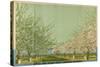 Apples and Honey from Canadian Orchards-Charles Pears-Stretched Canvas