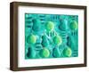 Apples and Pears, 2003-Julie Nicholls-Framed Giclee Print