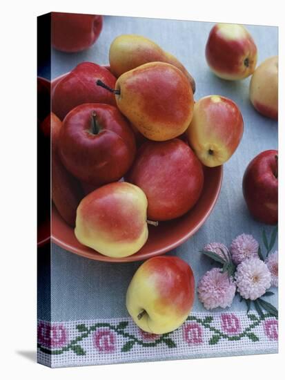 Apples and Pears in Fruit Bowl-Vladimir Shulevsky-Stretched Canvas