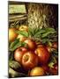 Apples and Tree Trunk, 1891-Levi Wells Prentice-Mounted Giclee Print