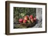 Apples, Basket, Exterior, Old Tree Trunk-Andrea Haase-Framed Photographic Print