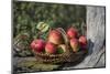 Apples, Basket, Exterior, Old Tree Trunk-Andrea Haase-Mounted Photographic Print