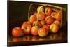 Apples, circa 1892-Levi Wells Prentice-Stretched Canvas