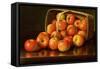 Apples, circa 1892-Levi Wells Prentice-Framed Stretched Canvas
