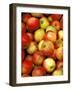 Apples, Ferry Building Farmer's Market, San Francisco, California, USA-Inger Hogstrom-Framed Photographic Print