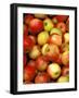 Apples, Ferry Building Farmer's Market, San Francisco, California, USA-Inger Hogstrom-Framed Photographic Print