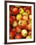 Apples, Ferry Building Farmer's Market, San Francisco, California, USA-Inger Hogstrom-Framed Photographic Print