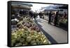 Apples for Sale in Market in Alberobello, Puglia, Italy, Europe-Martin-Framed Stretched Canvas