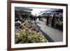 Apples for Sale in Market in Alberobello, Puglia, Italy, Europe-Martin-Framed Photographic Print