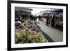 Apples for Sale in Market in Alberobello, Puglia, Italy, Europe-Martin-Framed Photographic Print