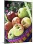 Apples (Granny Smith and Gala) in a Basket-Linda Burgess-Mounted Photographic Print