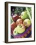 Apples (Granny Smith and Gala) in a Basket-Linda Burgess-Framed Photographic Print