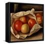 Apples in a Bag, 1925 (Oil on Cardboard)-Mark Gertler-Framed Stretched Canvas