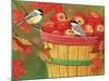 Apples in Basket with Chickadees-William Vanderdasson-Mounted Premium Giclee Print