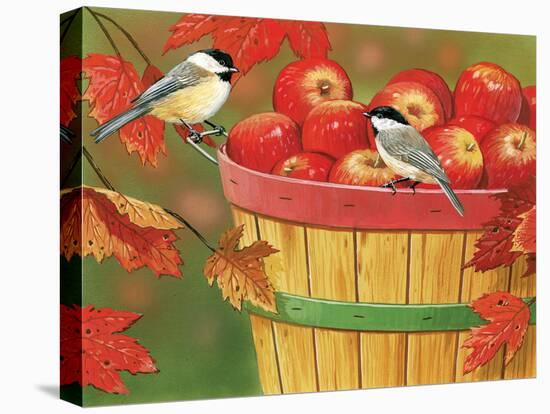 Apples in Basket with Chickadees-William Vanderdasson-Stretched Canvas