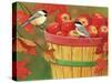 Apples in Basket with Chickadees-William Vanderdasson-Stretched Canvas