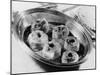 Apples in Syrup-Elsie Collins-Mounted Photographic Print