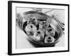 Apples in Syrup-Elsie Collins-Framed Photographic Print