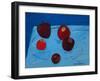 Apples on Blue Paper Bag-Sophie Harding-Framed Giclee Print