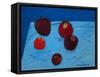 Apples on Blue Paper Bag-Sophie Harding-Framed Stretched Canvas