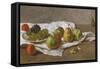 Apples, Pears and Grapes-Gustave Courbet-Framed Stretched Canvas