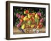 Apples, Pears, Grapes and Plums, 1999-Amelia Kleiser-Framed Giclee Print