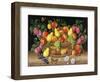 Apples, Pears, Grapes and Plums, 1999-Amelia Kleiser-Framed Giclee Print