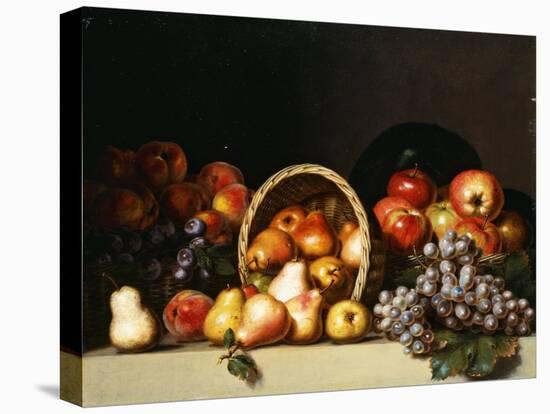 Apples, Pears, Plums and Grapes-Charles Bird King-Stretched Canvas