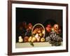 Apples, Pears, Plums and Grapes-Charles Bird King-Framed Giclee Print