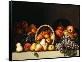 Apples, Pears, Plums and Grapes-Charles Bird King-Framed Stretched Canvas