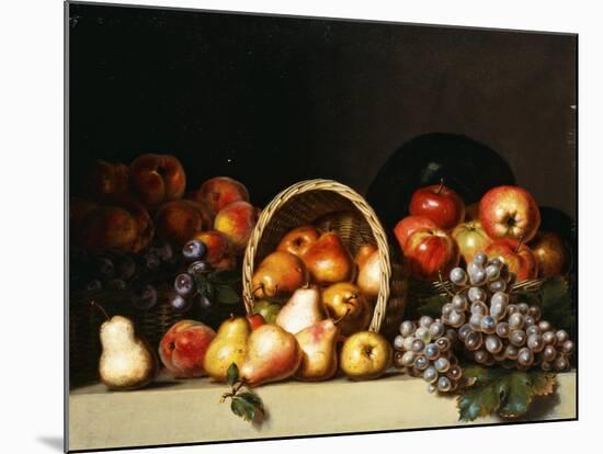 Apples, Pears, Plums and Grapes-Charles Bird King-Mounted Giclee Print