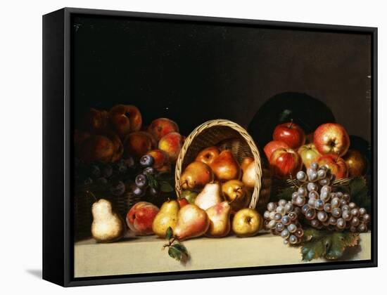 Apples, Pears, Plums and Grapes-Charles Bird King-Framed Stretched Canvas