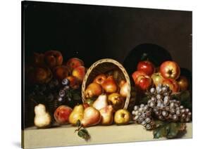 Apples, Pears, Plums and Grapes-Charles Bird King-Stretched Canvas