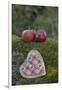 Apples, Two, Heart, Tree Trunk, Moss-Andrea Haase-Framed Photographic Print