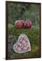 Apples, Two, Heart, Tree Trunk, Moss-Andrea Haase-Framed Photographic Print