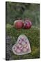 Apples, Two, Heart, Tree Trunk, Moss-Andrea Haase-Stretched Canvas